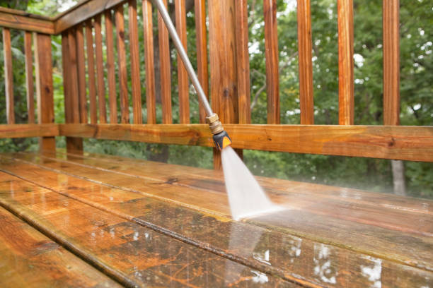 Best Roof Pressure Washing  in Lake Mills, IA
