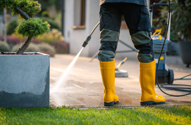 Best Roof Power Washing Services  in Lake Mills, IA